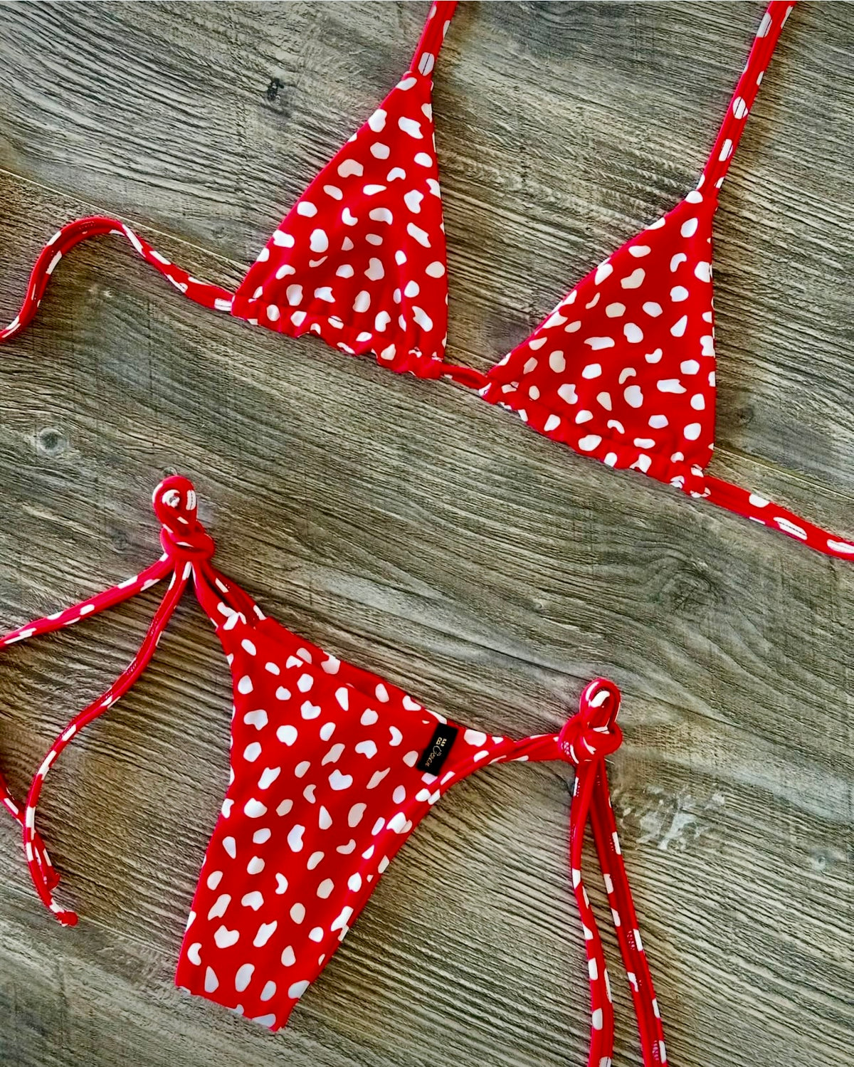 Micro Bikini One-size Thong & Non Padded Triangle Bra Set - LADYBUG